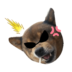 SuzukiFamilyのアイドル達②