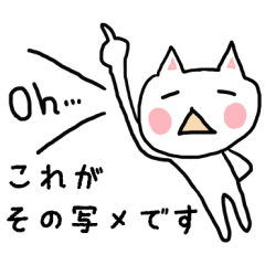 写メやURLを送る時に編〜ねここスタンプ〜