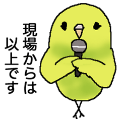 陽気なインコ、ポピィ