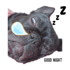 小林家のあんこ