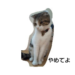 イッヌ・ネッコスタンプ