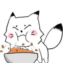 ネコじゃないホッキョクギツネ