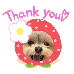 マルーキー写真スタンプ。