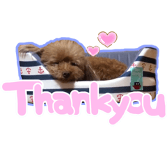 シルヴィちゃん #2