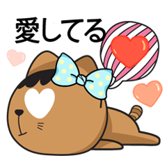 カッディープランキング猫