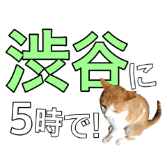 【待ち合わせ】東京ネコ 1.1