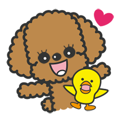 トイプードル・おてんばココちゃん