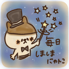 毎日♡しましまにゃんこ