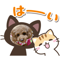 愛月と空パート7