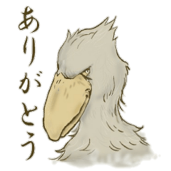 イケメン　ハシビロコウ　スタンプ