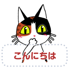 猫のミューちゃんです。