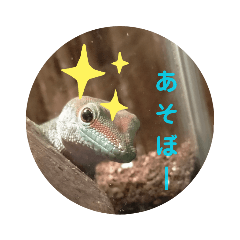 ほとんどヤモリスタンプ2