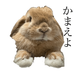 こたろうのポテト