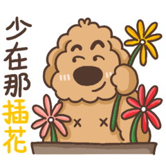 Fangpi to flower shop