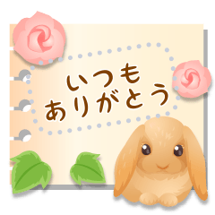 メッセージ毎日使える大人可愛いスタンプ２