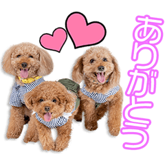 永尾家のバーディー、ナイス、グリーン