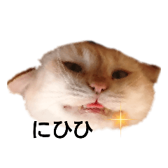 我が家の笹かまねこスタンプ