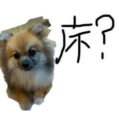 床による床のためのスタンプ。