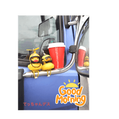 菊優會  みかん