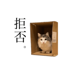 むぎらむ vol. 2 改訂版