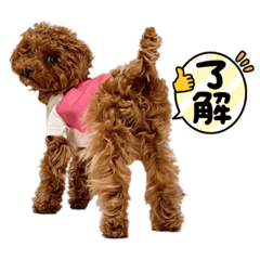 わんこスタンプ(elle)