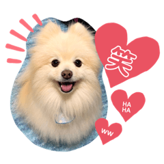 ゆきち・こゆき・こはく