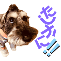 カールくん!ガチャガチャ文字スタンプ