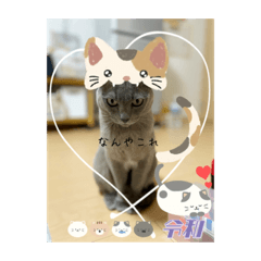 はくの初々しいスタンプ