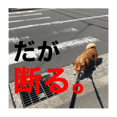 幸太郎の母専用