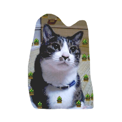 ミアちゃんとつばめたん