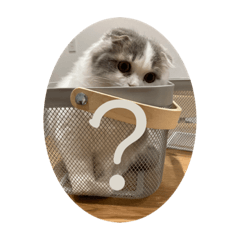 わたしのカワイイくぅちゃん