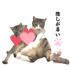 うちの子先住さんと新顔さん編