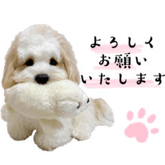 キャバションあんちゃんのスタンプ②