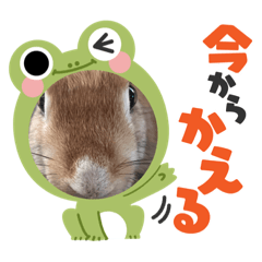 ♡ラテのスタンプ♡