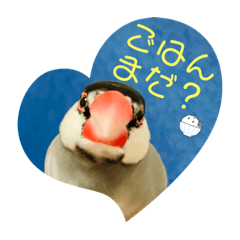 我が家の鳥たちスタンプ2