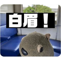 モフモフモフの故事成語