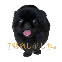 オレオ・フラペキーノ