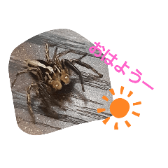 かわいい昆虫さん達のスタンプ