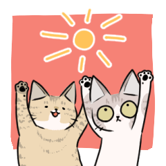 あまり愛想がない猫たち2