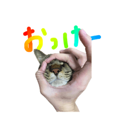 えんち！えんち！