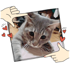 俺のじんせいここ