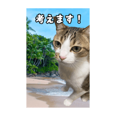 ゆずのスタンプ（丁寧語）1