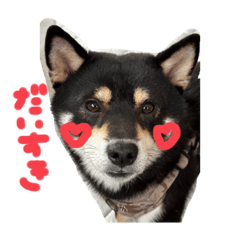 せきぐち大吉スタンプ