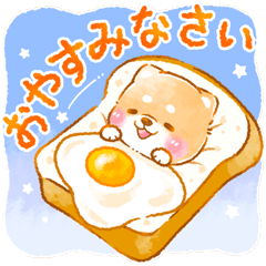 パンのある日常❤️いやしばいぬ❤️