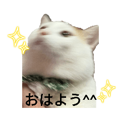 おいもさんスタンプねこねこ