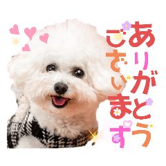 日常で使えるすぅちゃんスタンプ2