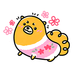 ハッピーポメラニアン、フェイフェイ〜