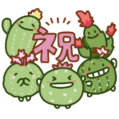 サボテンの日常色々