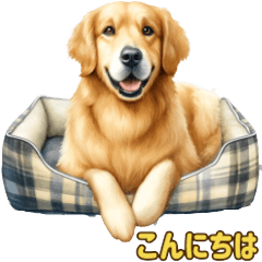 ゴールデンレトリバーの便利なスタンプ