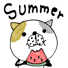 mottoの優しいアニマル♡夏